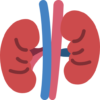 001-kidney